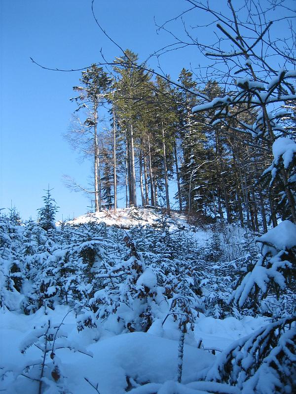 2010 01 16 B